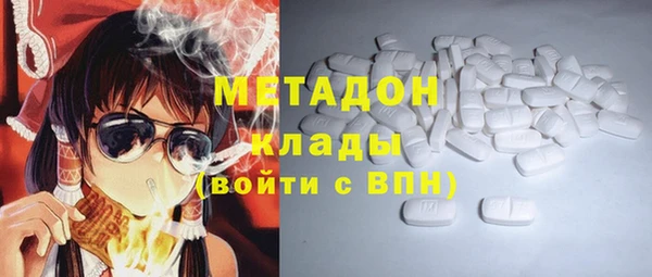 ПСИЛОЦИБИНОВЫЕ ГРИБЫ Вяземский