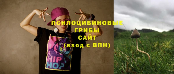гидра Вязники