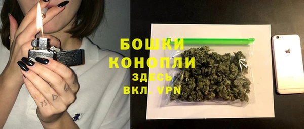ПСИЛОЦИБИНОВЫЕ ГРИБЫ Вяземский