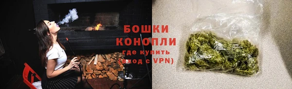 ПСИЛОЦИБИНОВЫЕ ГРИБЫ Вяземский
