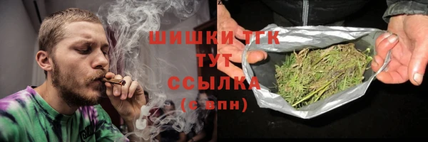 гидра Вязники