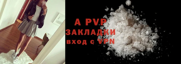 ПСИЛОЦИБИНОВЫЕ ГРИБЫ Вяземский
