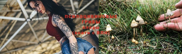 гидра Вязники