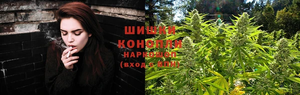 ПСИЛОЦИБИНОВЫЕ ГРИБЫ Вяземский
