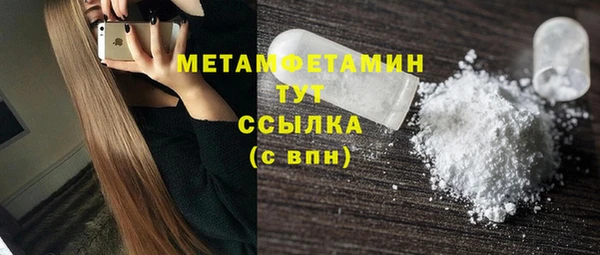ПСИЛОЦИБИНОВЫЕ ГРИБЫ Вяземский