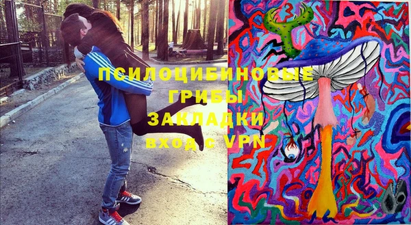 ПСИЛОЦИБИНОВЫЕ ГРИБЫ Вяземский