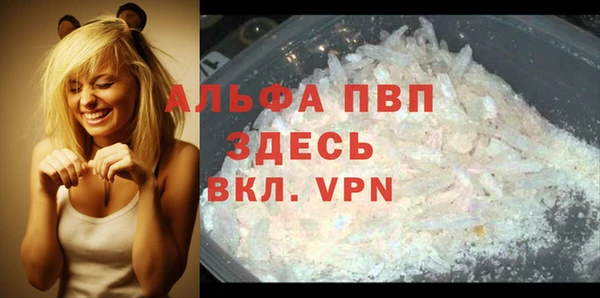 ПСИЛОЦИБИНОВЫЕ ГРИБЫ Вяземский